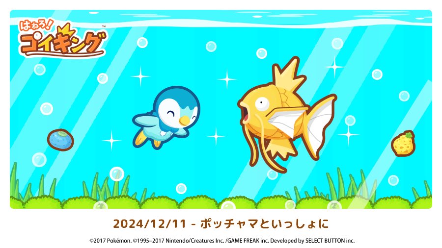 vmvmvmvmvmvm's tweet photo. 2024/12/11 - ポッチャマといっしょに #コイキング https://t.co/GlVQNS8a9r https://t.co/5Uh7vt6uTt