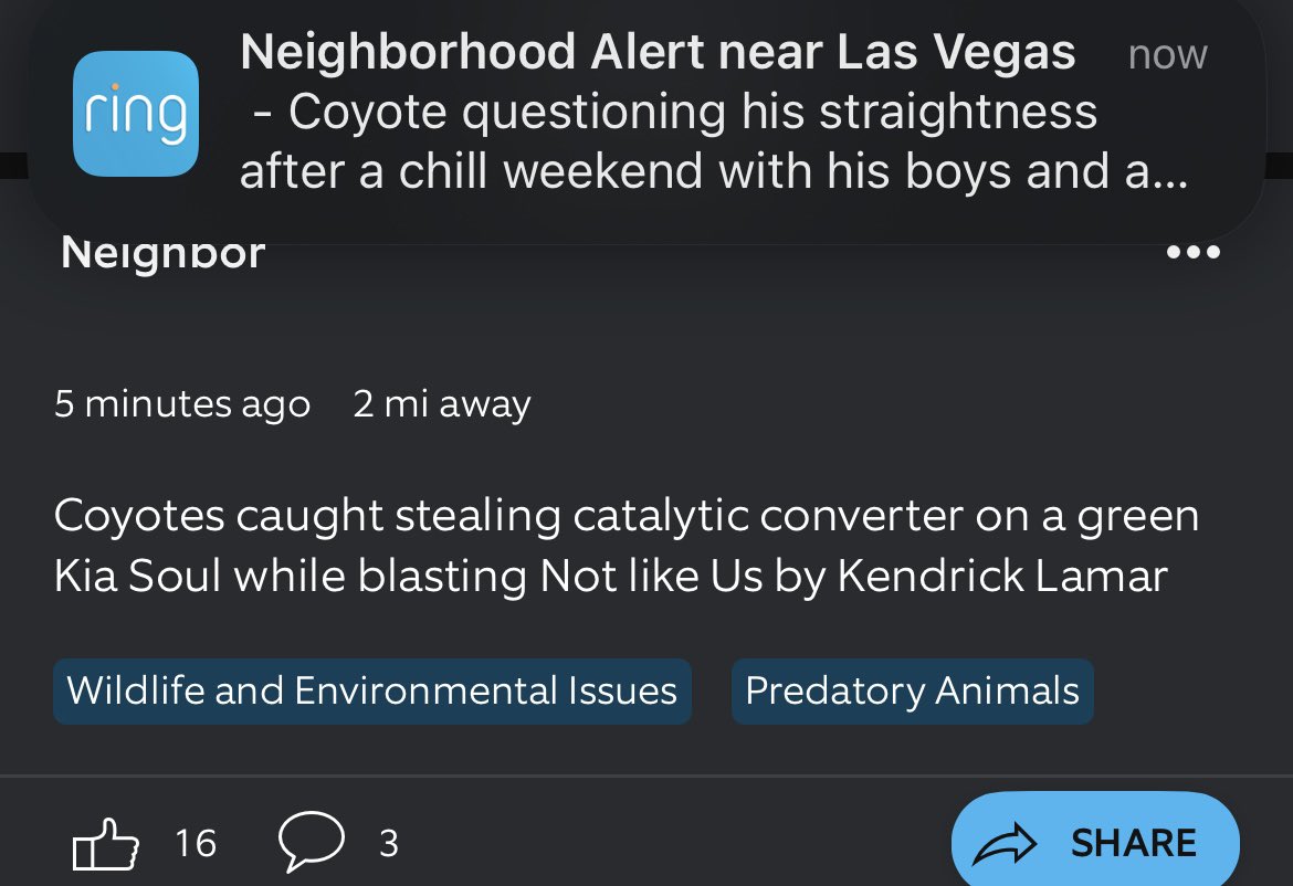 Callmebennn 💰 tweet media