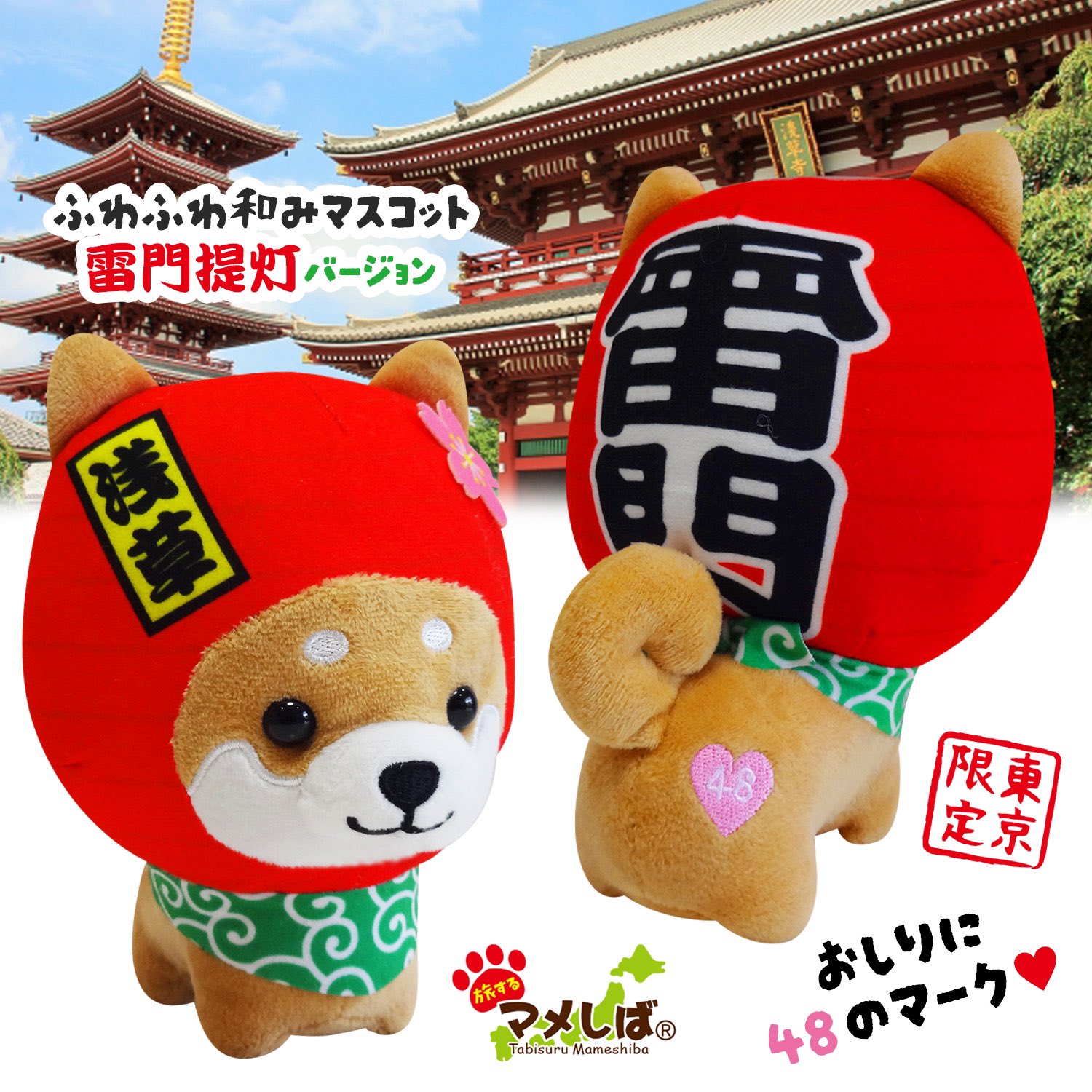 旅するマメしば on X: 