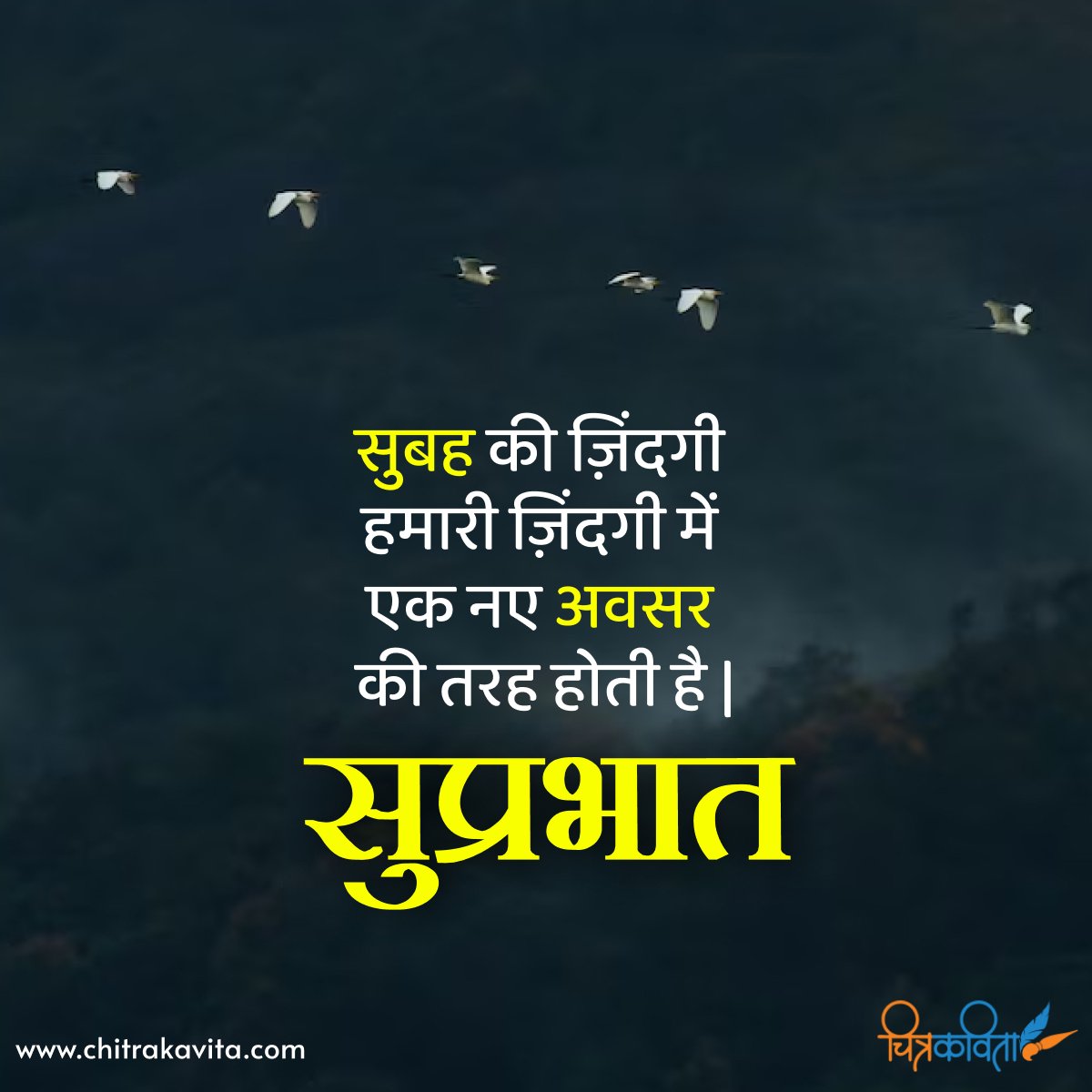 prameshbalan's tweet photo. सुबह की ज़िंदगी हमारी ज़िंदगी में एक नए अवसर की त��ह होती है।
सुप्रभात दोस्तो https://t.co/BsBqtWKDQ9
