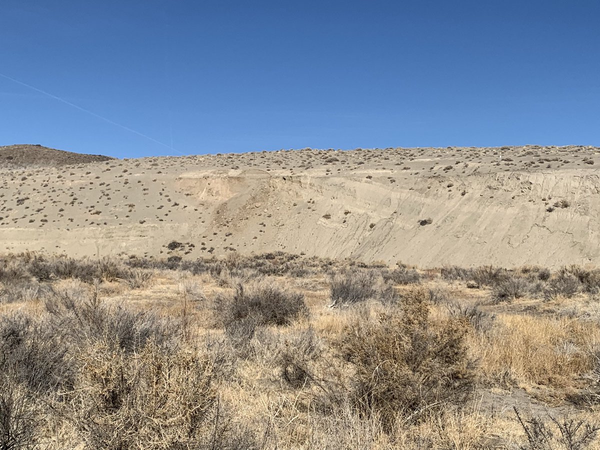 faultcreeper's tweet image. Quick recap from field suvey of yesterdays M5.8 earthquake in NV.  no surface rupture observed after several transects across aftershock pattern.  Lack of surface cracking in epicentral area. Minor bank failures, lateral spread, and liquefaction features along Walker river.