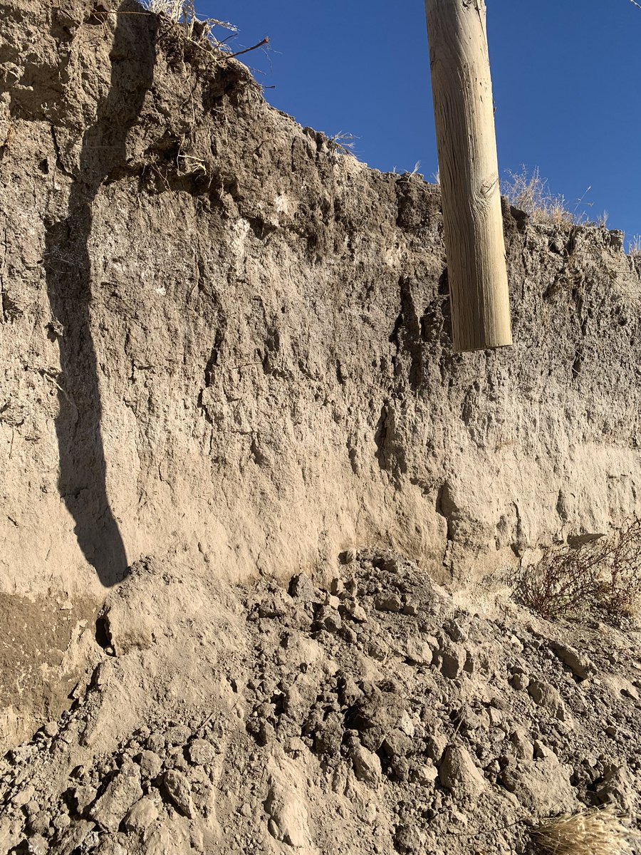 faultcreeper's tweet image. Quick recap from field suvey of yesterdays M5.8 earthquake in NV.  no surface rupture observed after several transects across aftershock pattern.  Lack of surface cracking in epicentral area. Minor bank failures, lateral spread, and liquefaction features along Walker river.