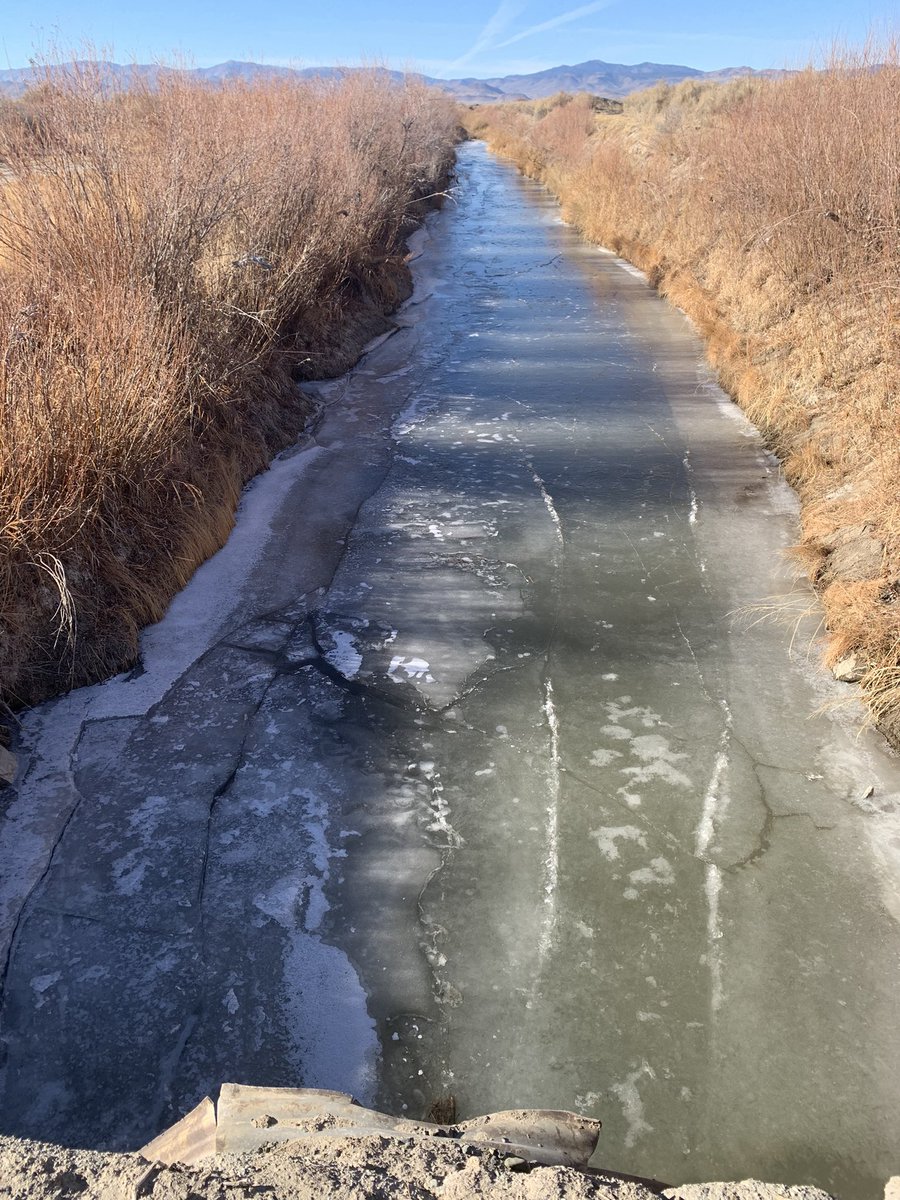 faultcreeper's tweet image. Quick recap from field suvey of yesterdays M5.8 earthquake in NV.  no surface rupture observed after several transects across aftershock pattern.  Lack of surface cracking in epicentral area. Minor bank failures, lateral spread, and liquefaction features along Walker river.