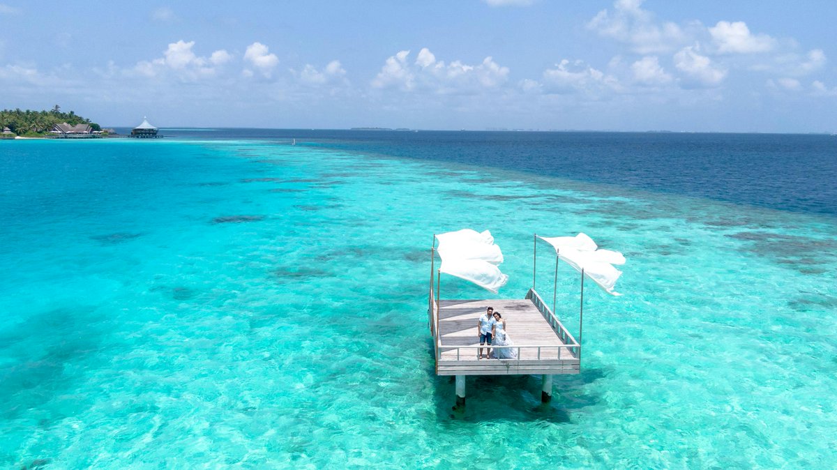 TopTechNest's tweet photo. 💭 What’s your ultimate travel fantasy? 🛩️ Jet off to exotic destinations, close deals in comfort, and skip the crowds. Private Jet Card Comparisons brings luxury and efficiency to your fingertips. Start exploring 👉 https://t.co/78jOWxfwrM

#LuxuryTravel #BusinessLuxury #JetSet https://t.co/cKcVKLsWJs