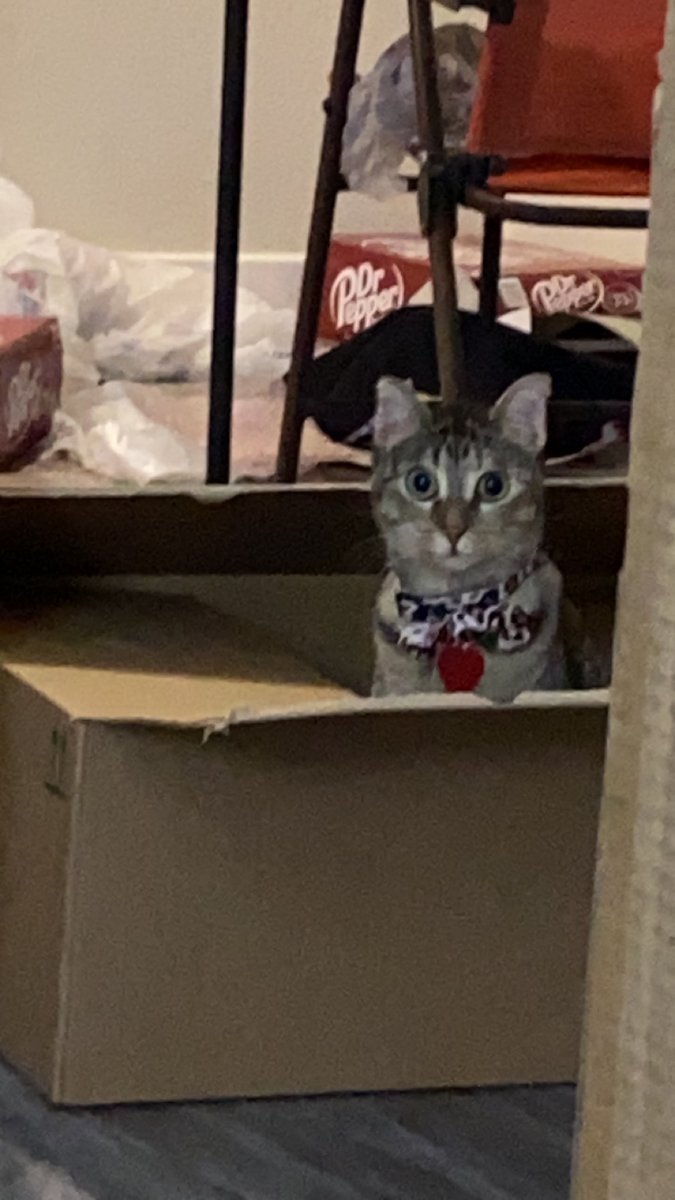 MythicalYuna's tweet photo. Since you both ask. Here is my baby Yunè. She’s also 2 years old. @Drummer_Boy21 @KingCorphish https://t.co/UB3s9lsWbq