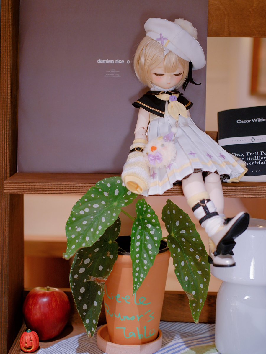 chibipinecone's tweet photo. Christmas will coming⭐
#うちの子かわいい 
#Kumakoちゃん 
#松ぼっくり服 https://t.co/rt4xV4aDCL