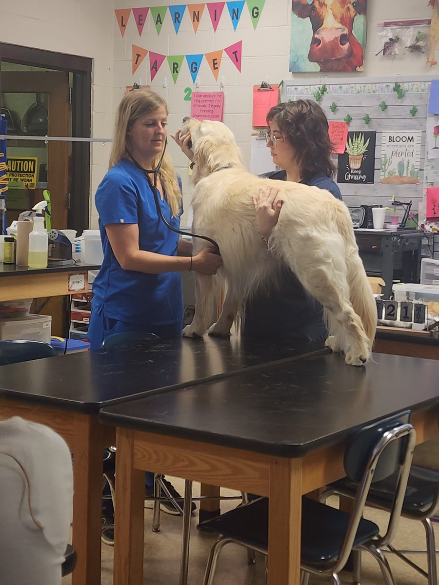 Former students (Dr. Mitchell and Megan) visited our classroom. Dr. Mitchell walked the students through a wellness exam. Partnerships like this are essential for enhancing students' practical skills and knowledge in veterinary med. <a href="/CTEforNC/">NC Career and Technical Education</a>
<a href="/LedfordProud/">Ledford Proud</a> <a href="/dcsnc/">@DCSNC</a> <a href="/NCFFA/">North Carolina FFA</a>