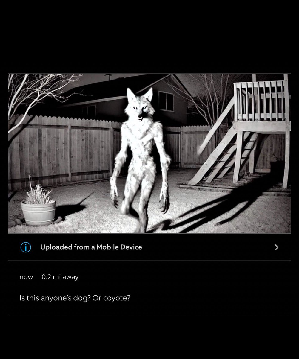 Las Vegas Issues tweet media