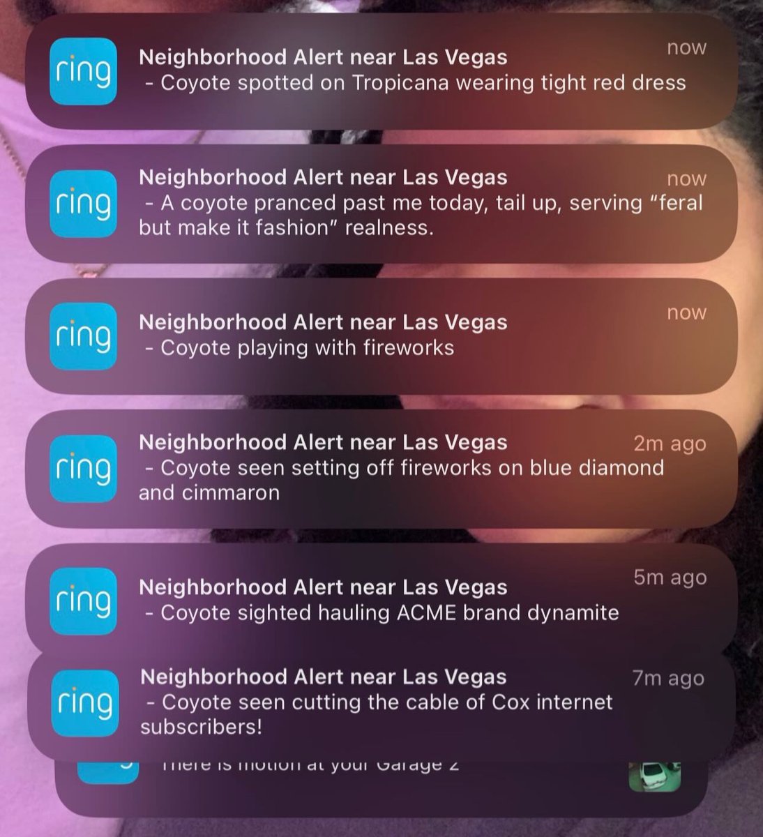 Las Vegas Issues tweet media