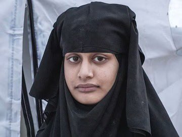 Lee Patriot Hood tweet media