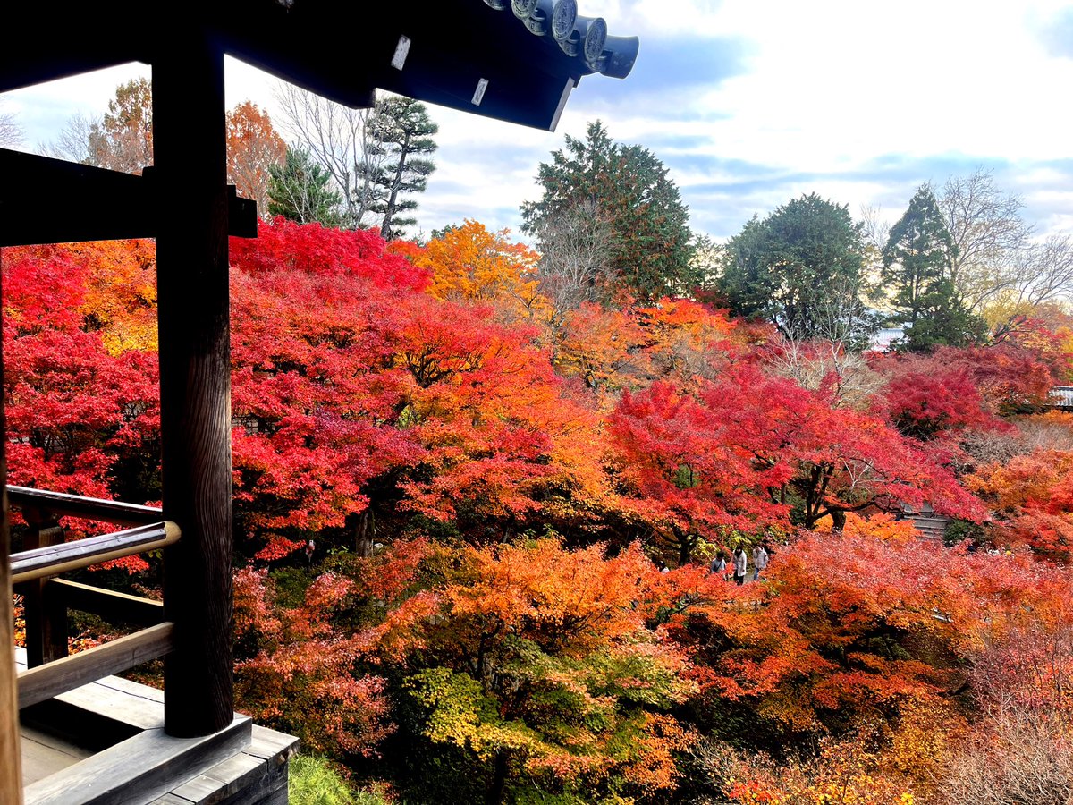 studio_coa's tweet photo. 綺麗でした🍁
ぼんやりたくさん眺めてきました✨
そんな時間ってきっと、とっても大切😊 https://t.co/csRmVkOD3j