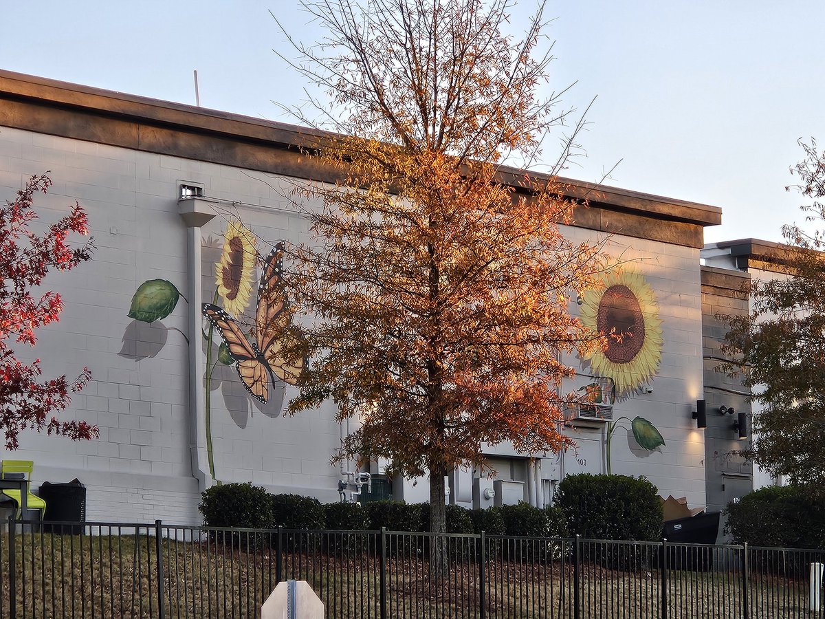 Cre8tiveLib's tweet image. I cannot visit a new city without looking for murals. You didn't fail me, Raleigh!  Thank you, #SLJSummit for picking this city for  your annual conference!