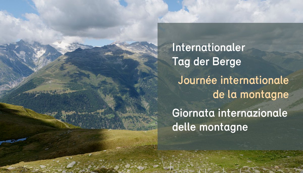 #InternationalerTagderBerge. Die Berge spielen eine wichtige Rolle für die Zukunft unseres Planeten. Das BAFU unterstützte die #CleanupTour 2024: #Müllsammelaktionen in Bergdestinationen. Wir sorgen, dass die nächste Generation eine saubere Welt erbt. 

👉cleanuptour.ch/?lang=de