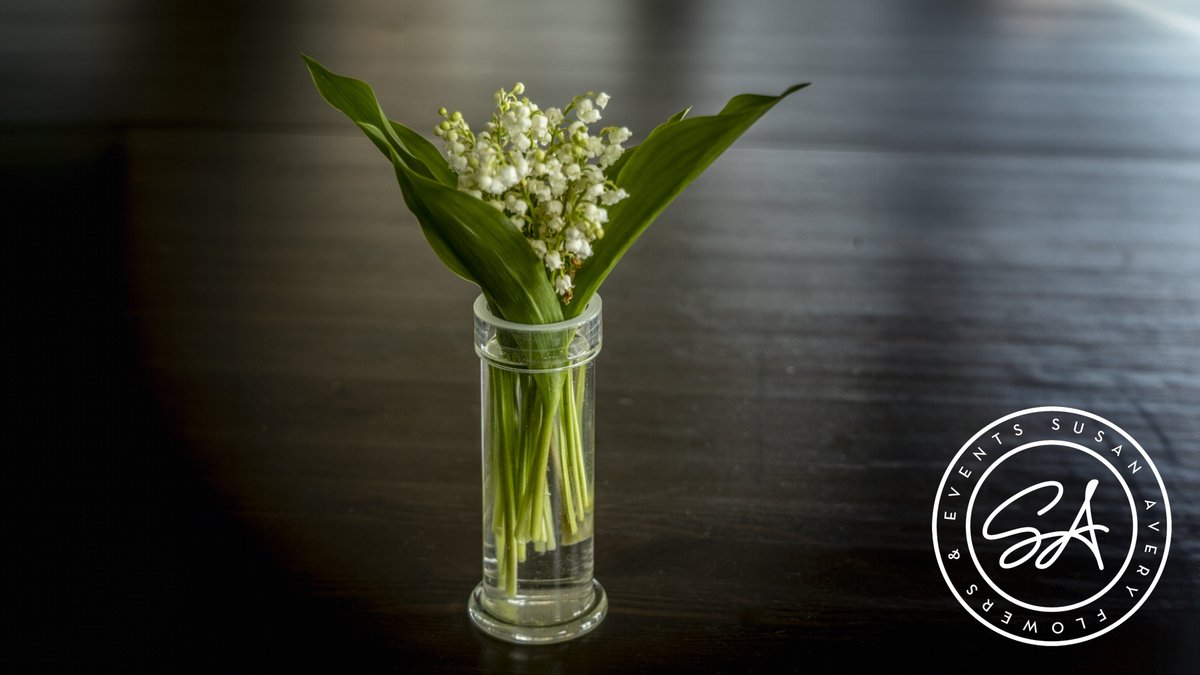 AveryEvents's tweet photo. Not in season at the moment but who can resist lily of the valley?
#sydneyflorist #sydneyflowers #flowers #flowersofinstagram #eventflorist #woollahra #woollahraflorist #susanavery #paddingtonflorist #doublebayflorist #pointpiperflorist #weddings #event #eventstyling https://t.co/qJKyJSNeg2