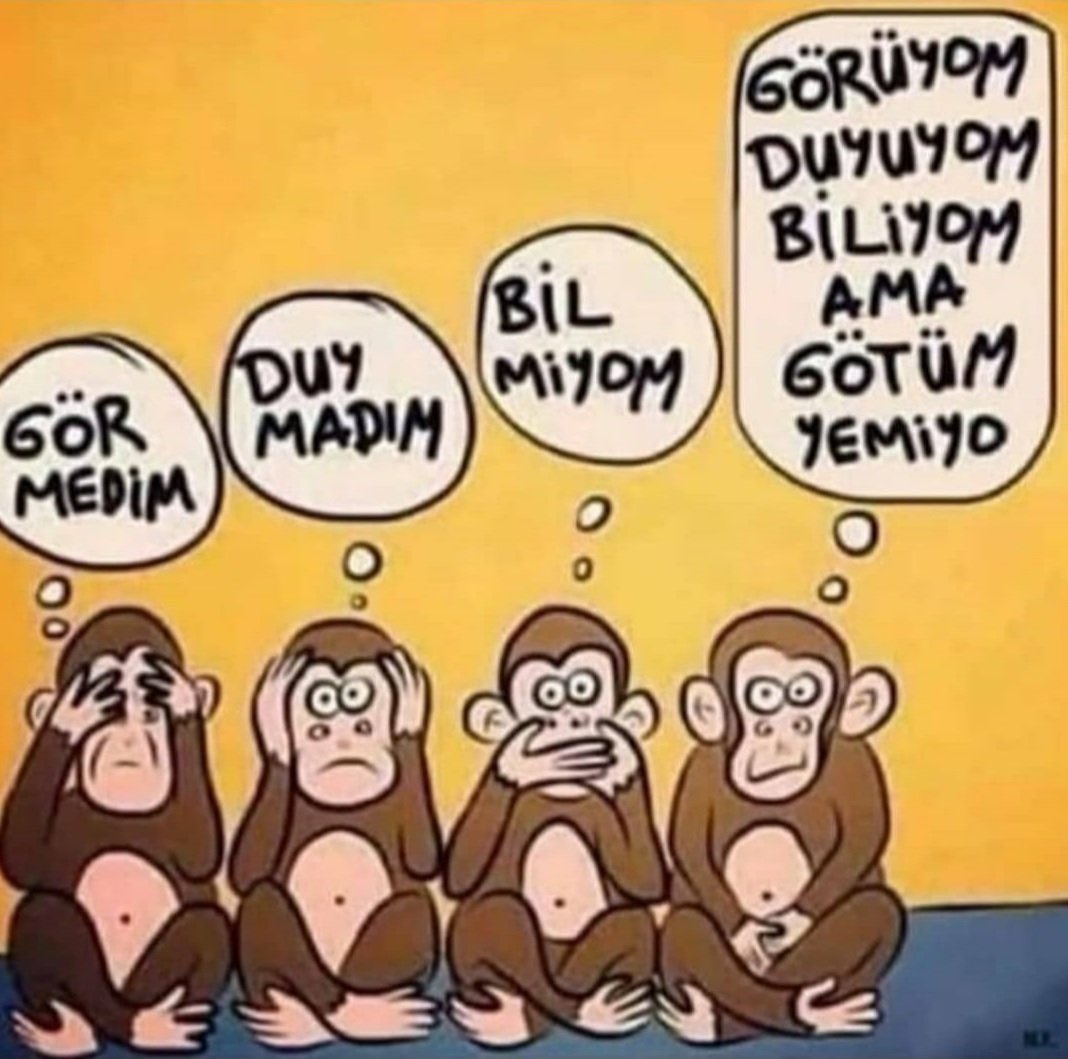 Toplumca dördüncü maymun olduk.