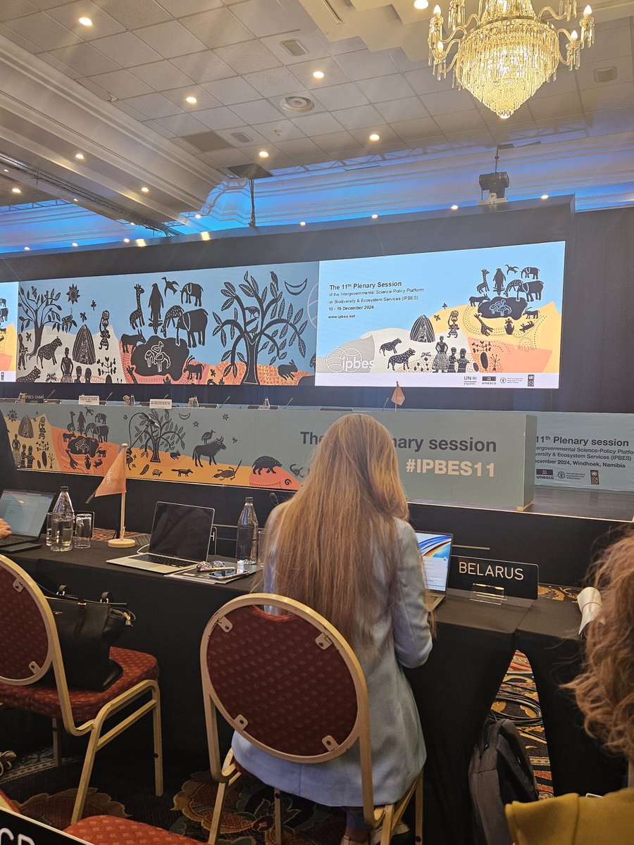 Comienza el Plenario de la #IPBES11 en Windhoek, Namibia. 🇳🇦. <a href="/citmacuba/">Ministerio de Ciencia, Tecnología y Medio Ambiente</a> participa en esta sesión plenaria para la revisión de dos nuevas evaluaciones mundiales. <a href="/citmacuba/">Ministerio de Ciencia, Tecnología y Medio Ambiente</a> <a href="/ArmandoRguezB/">Armando</a>