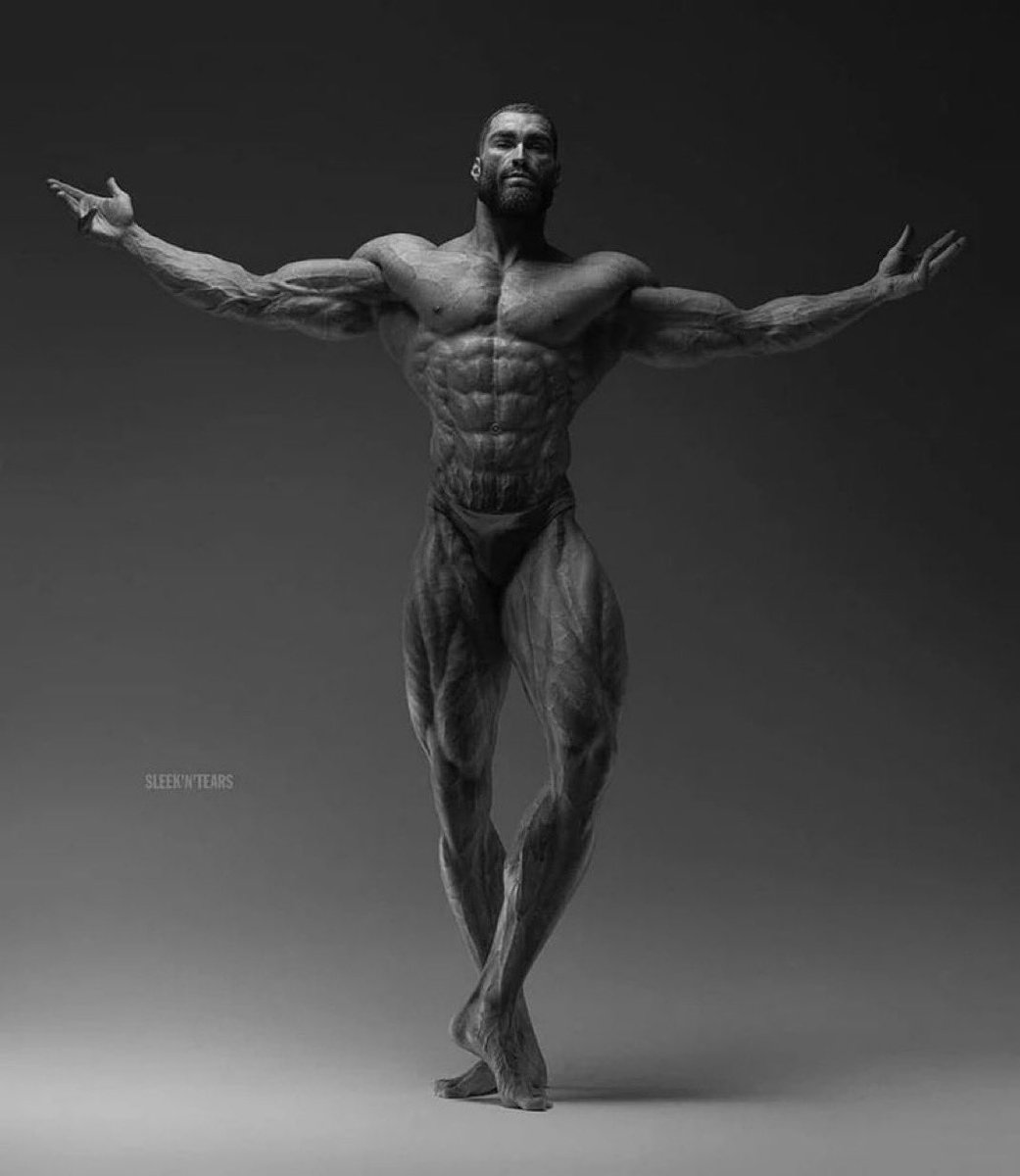 LionBearDad's tweet photo. @naiivememe Mine is in this man’s 

Full port $GIGA https://t.co/JhSKD1c4bW
