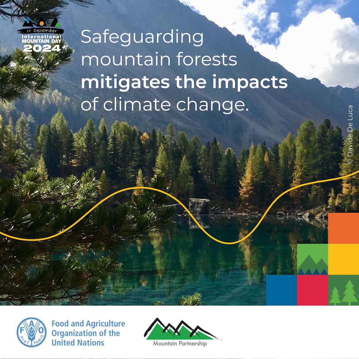 FAO Forestry (@faoforestry) on Twitter photo 🌳🗻Safeguarding mountain forests mitigate the impacts of climate change.🗻🌲
#MountainsMatter #IMD2024 #forests #mountainforests @UNMountains <a href="/FAO/">Food and Agriculture Organization</a> 🌳🗻Safeguarding mountain forests mitigate the impacts of climate change.🗻🌲
#MountainsMatter #IMD2024 #forests #mountainforests @UNMountains <a href="/FAO/">Food and Agriculture Organization</a>