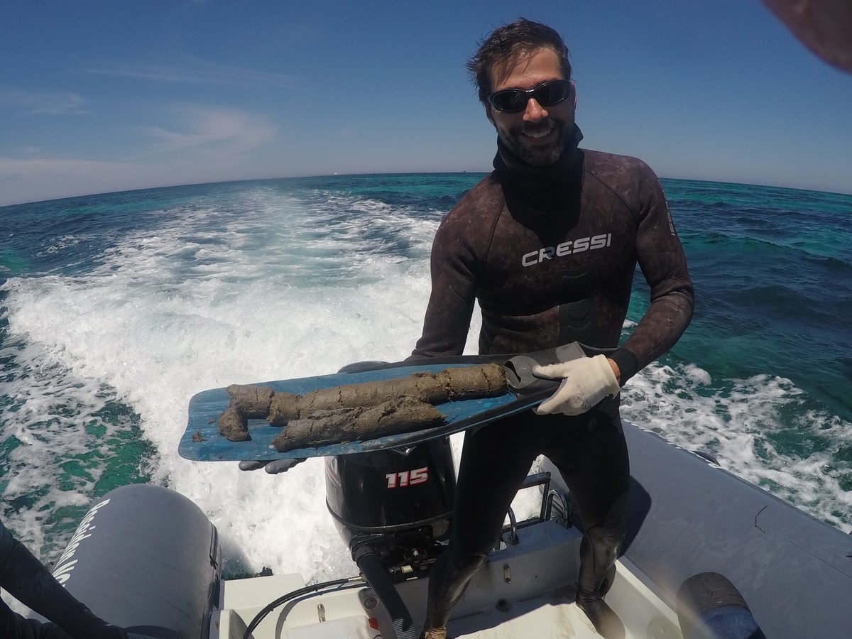 CEAB-CSIC tweet media