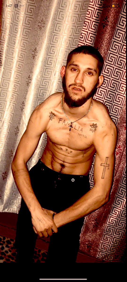 vanpersie2 tweet media