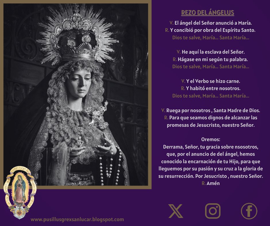 Bajo tu amparo nos acogemos, Santa Madre de Dios. No desoigas nuestras súplicas que te dirigimos en nuestras necesidades, antes bien, líbranos de todos los peligros, Virgen gloriosa y bendita.
#pusillusgrex #guadalupe #jara #soberanopoder