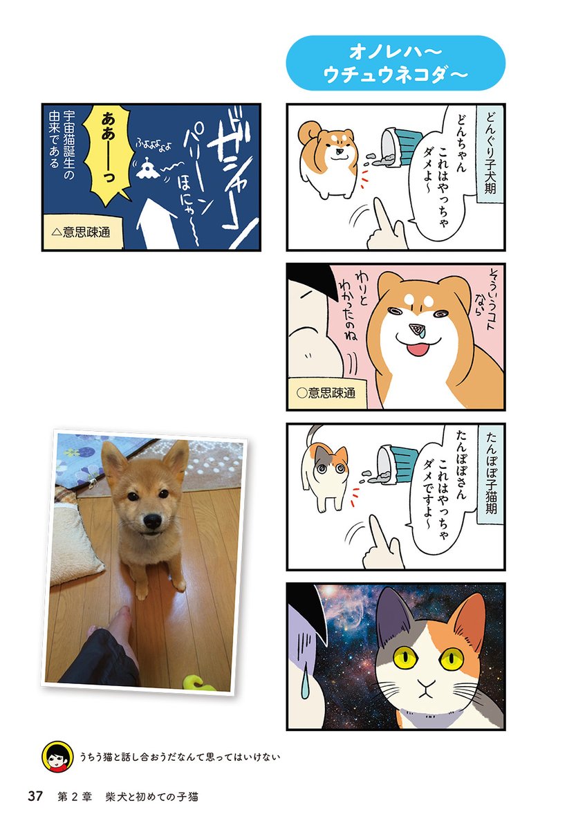 (2/8) 