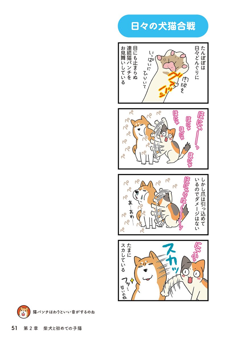 (6/8) 