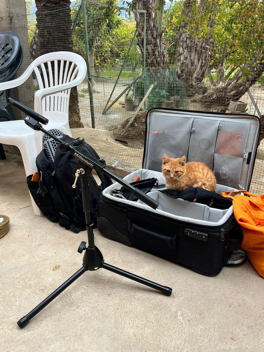 Tenemos nuevo modelo de cámara en GMTV😉