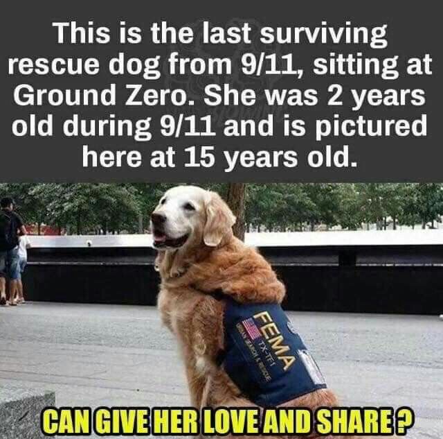 _XDogs's tweet photo. https://t.co/OECiAgBxO4