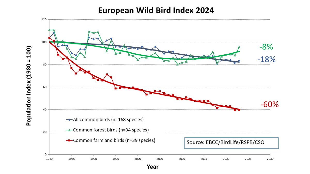 Richard D Gregory (@richdgregory3) on Twitter photo NEW Decline of European bird populations continues especially birds of farmland. Pan-European Common Bird Monitoring Scheme (PECBMS) present updated wild bird indices 1980–2023. Data = 168 bird species from 30 countries⬇️
<a href="/RSPBScience/">RSPB Science</a> <a href="/BirdLifeEurope/">BirdLife Europe & Central Asia</a> pecbms.info 📉🐦 NEW Decline of European bird populations continues especially birds of farmland. Pan-European Common Bird Monitoring Scheme (PECBMS) present updated wild bird indices 1980–2023. Data = 168 bird species from 30 countries⬇️
<a href="/RSPBScience/">RSPB Science</a> <a href="/BirdLifeEurope/">BirdLife Europe & Central Asia</a> pecbms.info 📉🐦