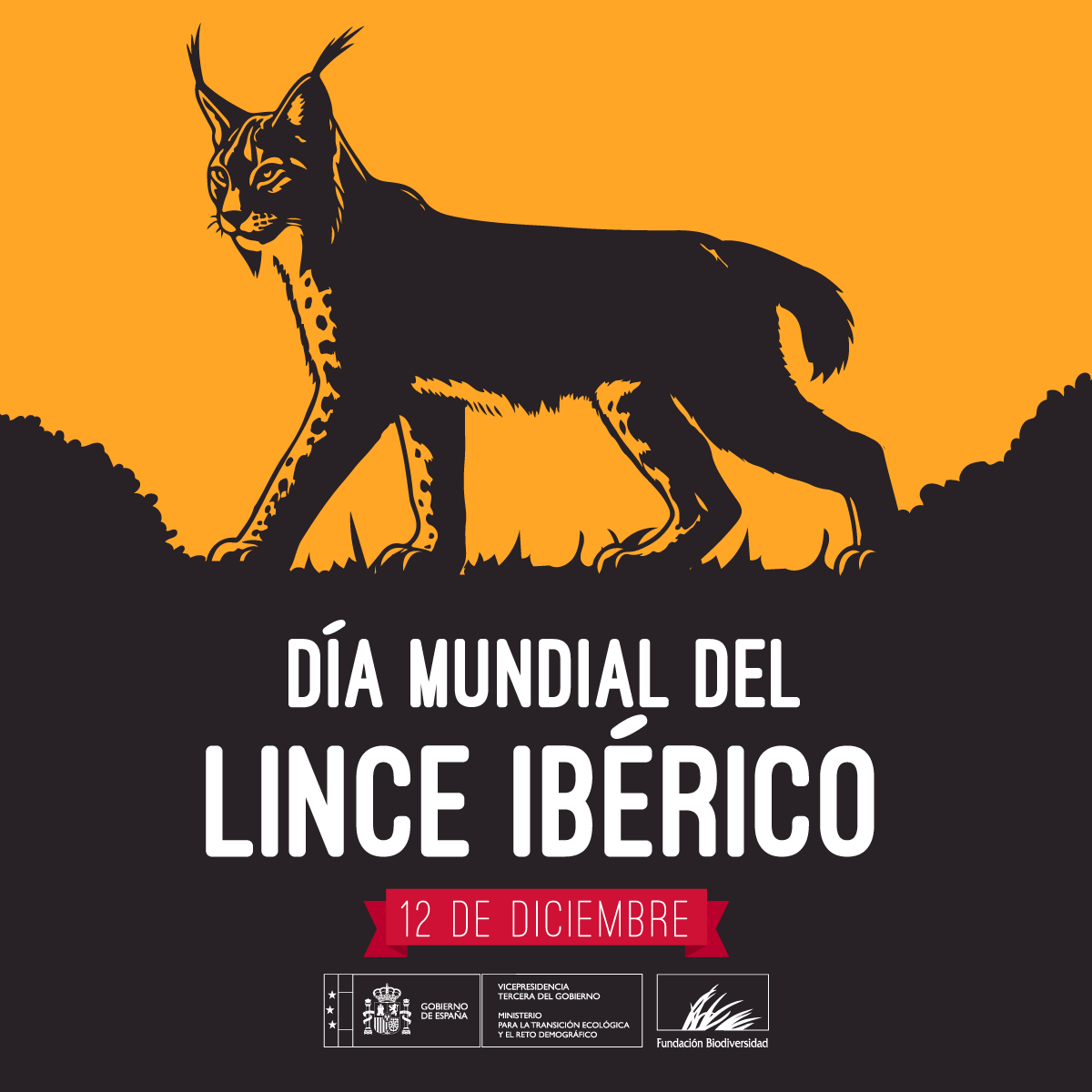 El #DíaMundialdelLinceIbérico, una fecha inmejorable  para dar las gracias a todas las personas que con su esfuerzo 💪 están consiguiendo que una de las especies más emblemáticas de nuestra #biodiversidad 🐱 se aleje, poco a poco, de la extinción 👏👏👏