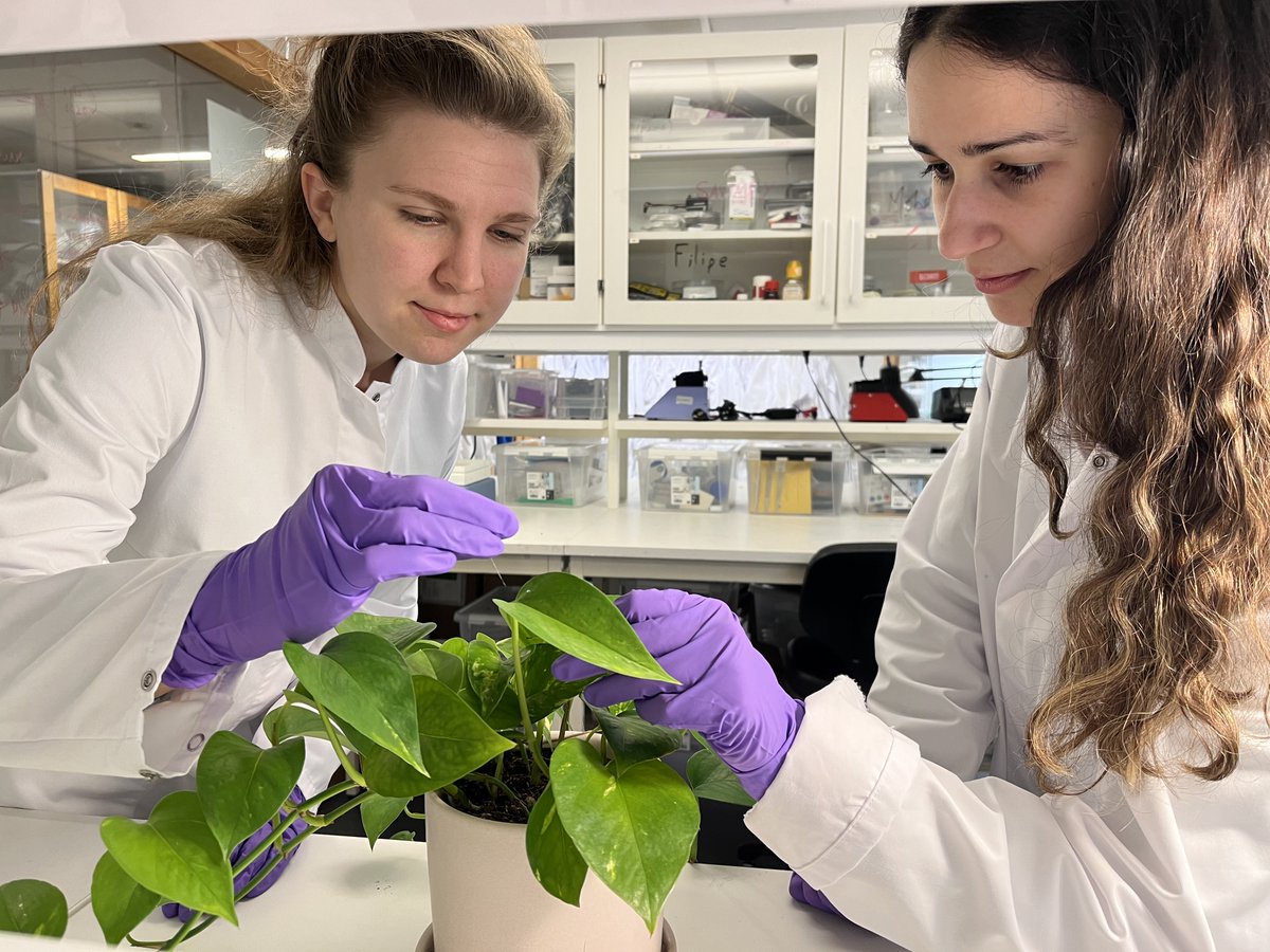 Our colleague has spent a stay in Sweden at KTH where she has focused on exploring different approaches to maximise performance in working with small sample volumes #Biosensors #Biopiles #WatchPlantEUProject.