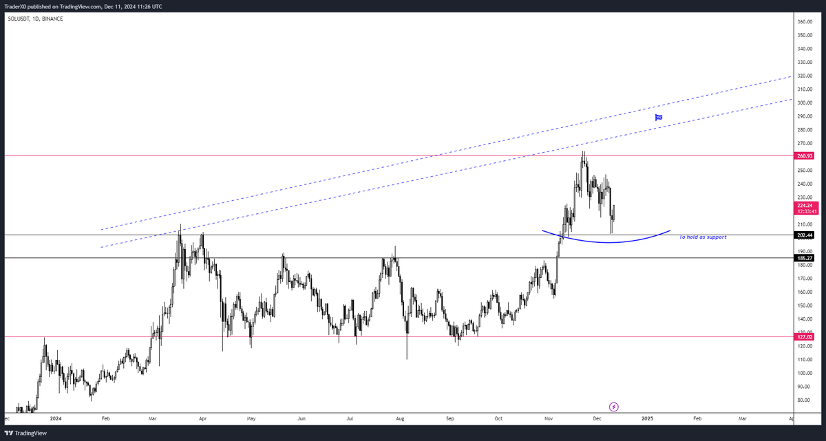 Qssai2's tweet photo. RT @Trader_XO: $SOL  $300

Still fully positioned since summer lows

Acceptance below $200 invalidation point https://t.co/igqZHidRmn