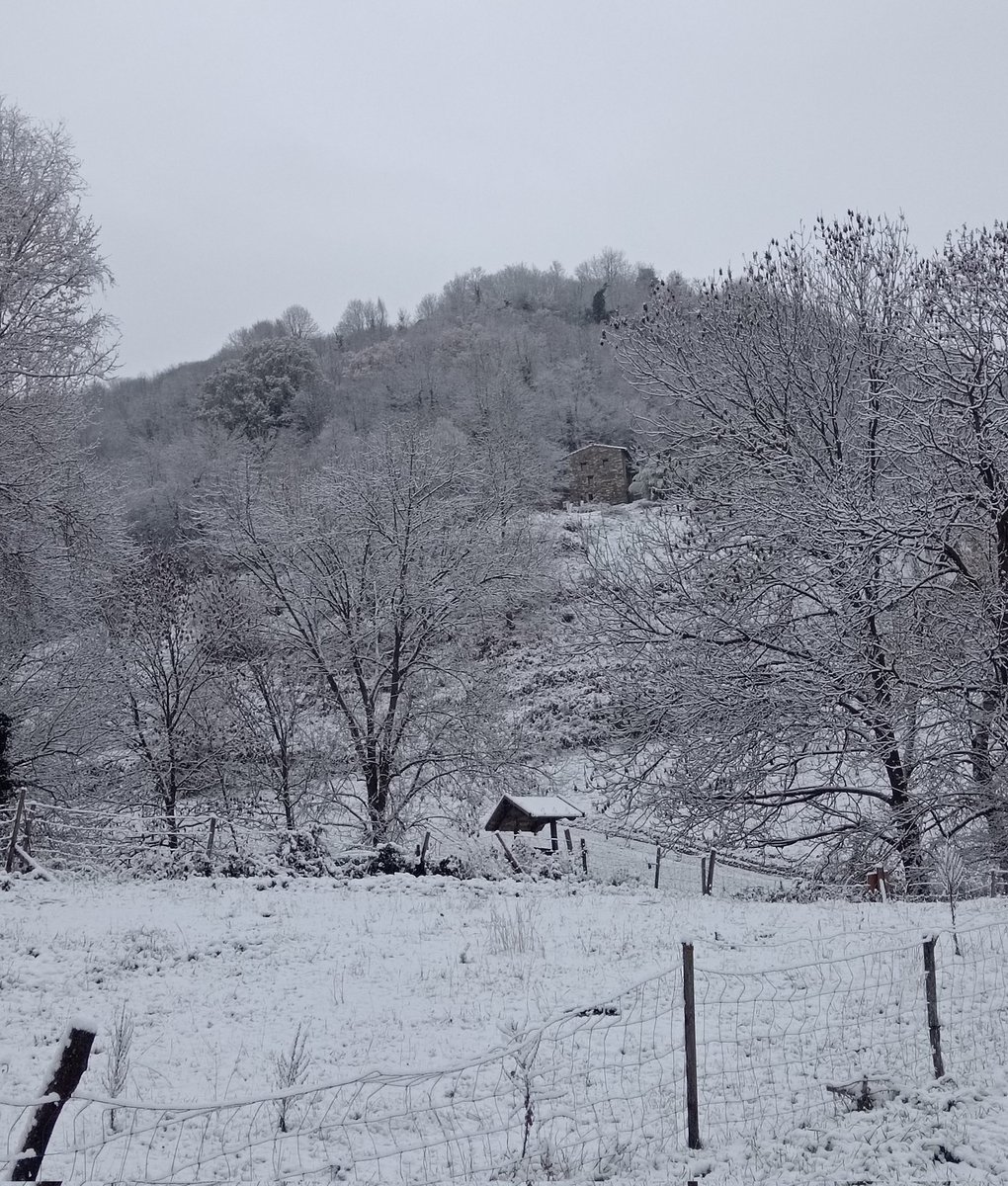xaiecologic's tweet photo. Urpades d'Hivernàs.
#Neva
#HistòriesDeMuntanya
#Pirene https://t.co/Zjs6FFzwi3