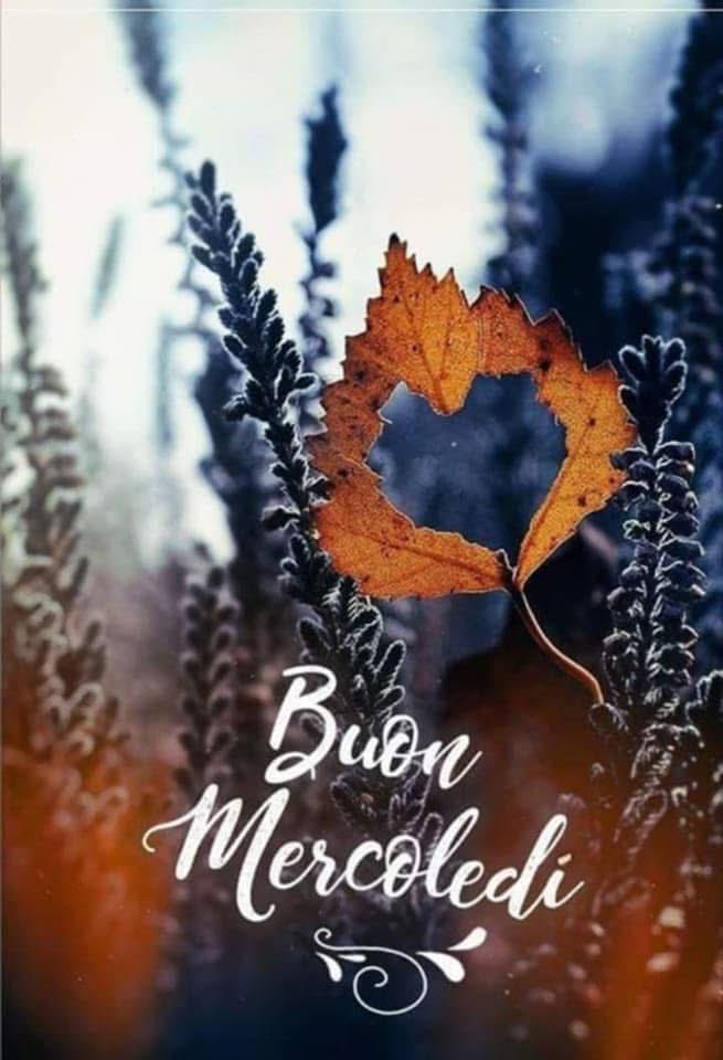 RITABIANCHi56 tweet media