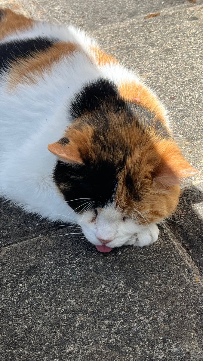 Declan Shalvey tweet media