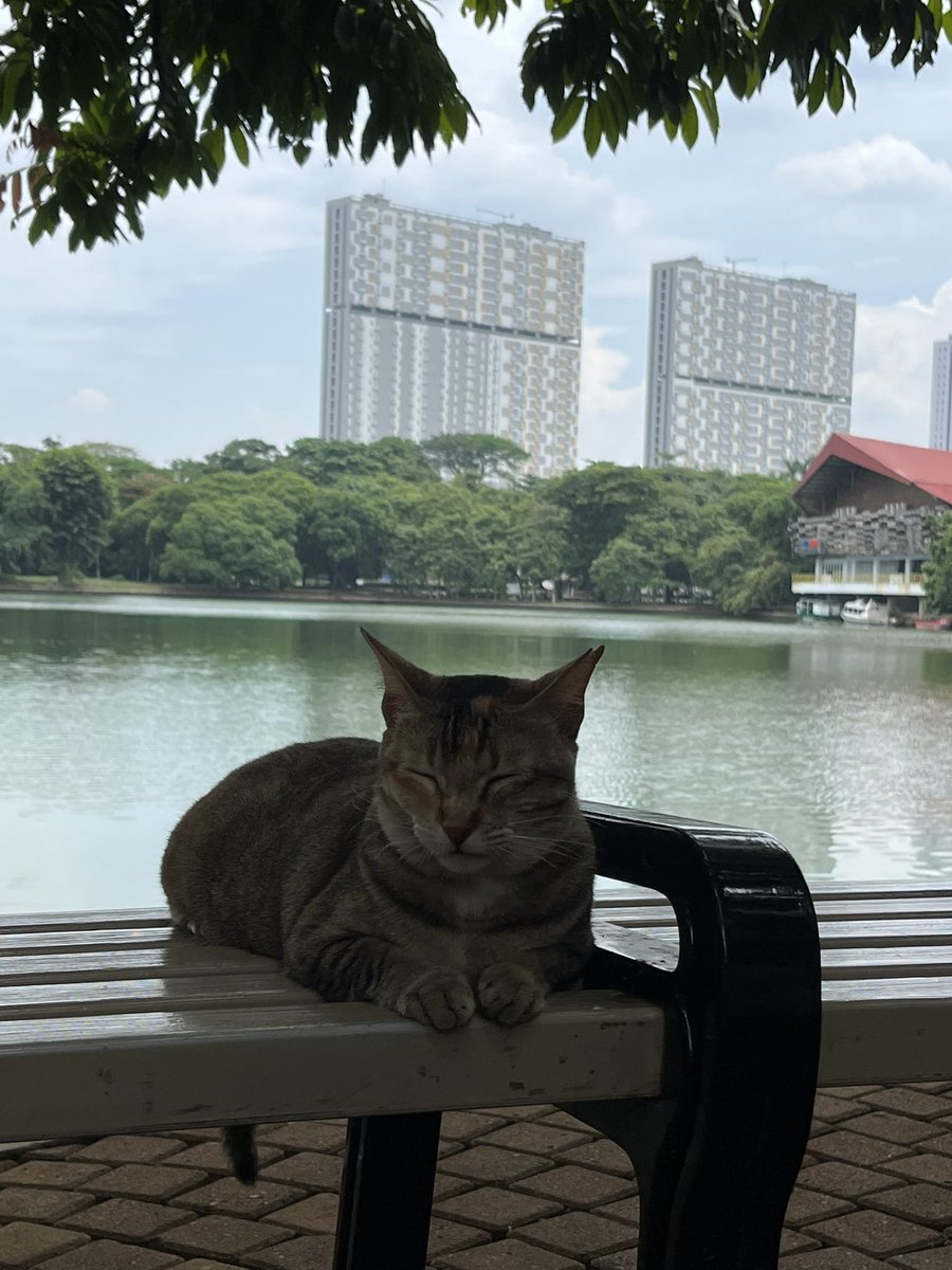 Dhinendraz's tweet image. Dengan pemandangan seperti ini.

tegas mengatakan, semua kampus ga akan pernah sama!!!