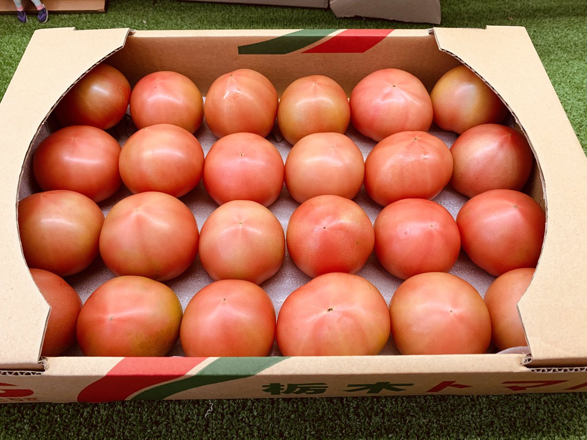 あまがいトマト園 (@amagai_tomatoen) / Posts / X