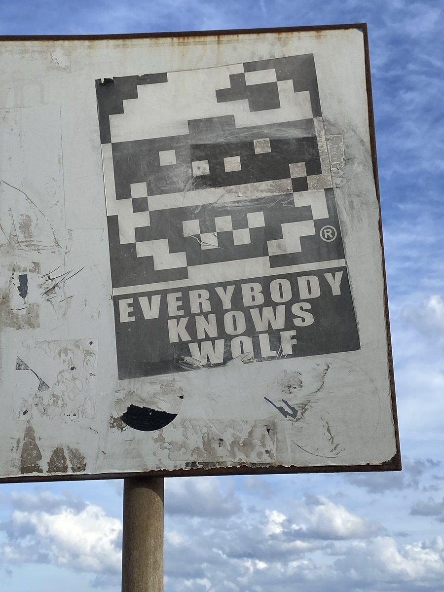 FungiSpornado's tweet image. Good day to you, a little pic from Malta. They know and get it #WolfMode