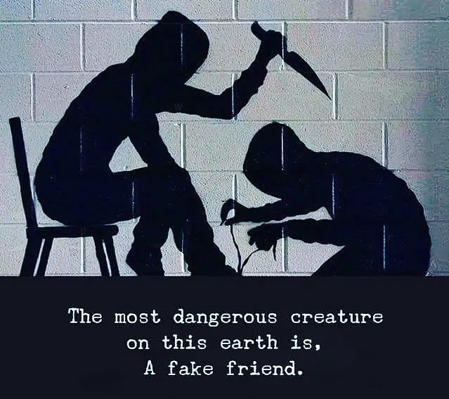 🌺...Dear self, 📌