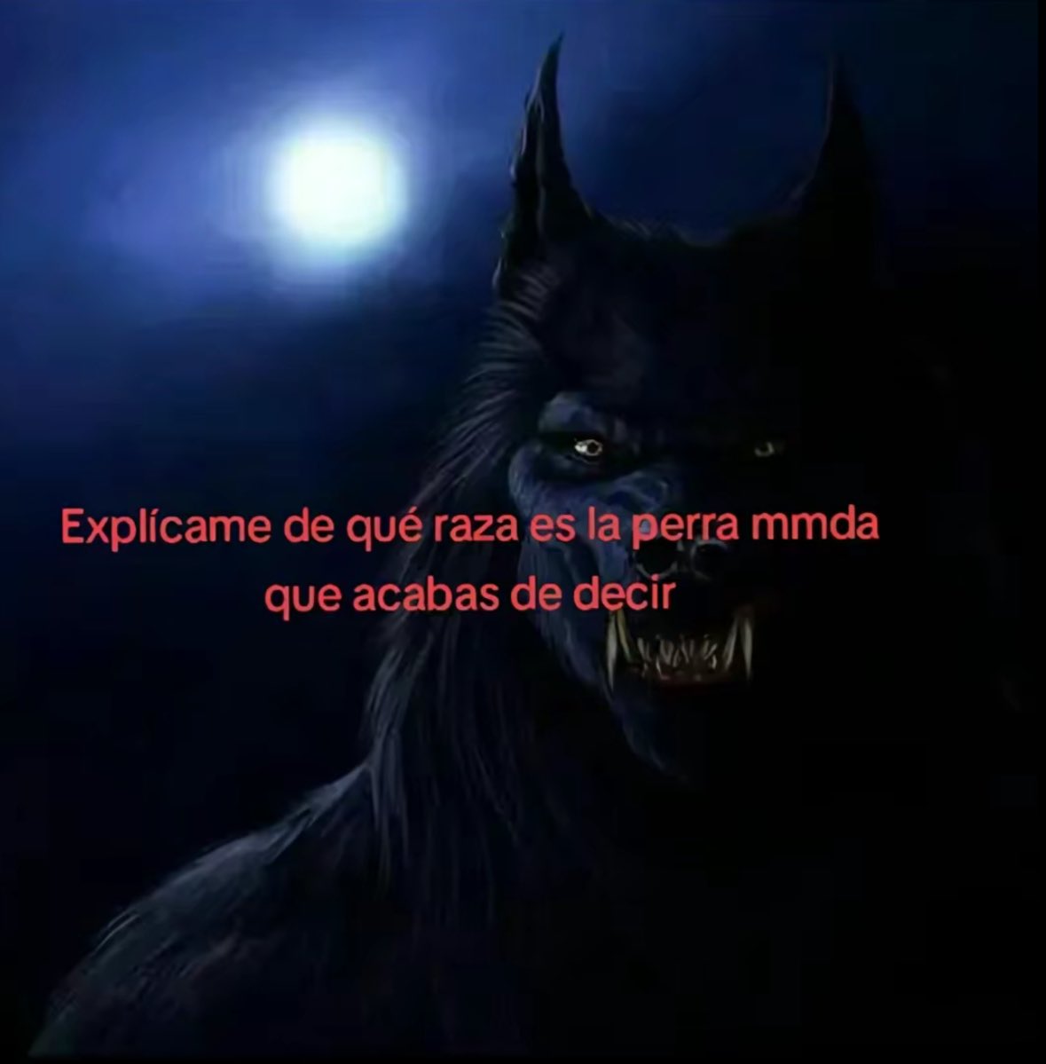 wolfmine457's tweet photo. @Lons_sa0 @Sitlalo_Mapach https://t.co/q63E22VCe1