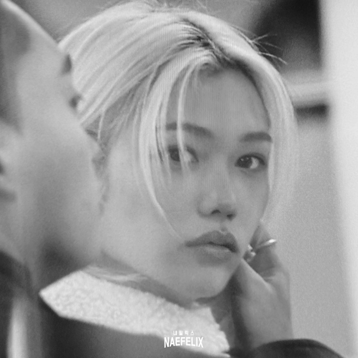 현이랑 복이 좋아하는 사람 tweet media
