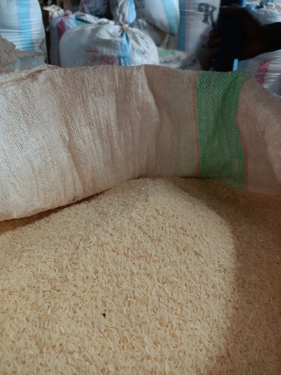 Maina🍥 tweet media