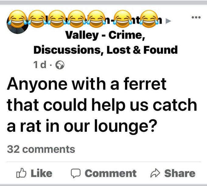 We've just reached peak "Welsh" on Facebook 🐀🏴󠁧󠁢󠁷󠁬󠁳󠁿