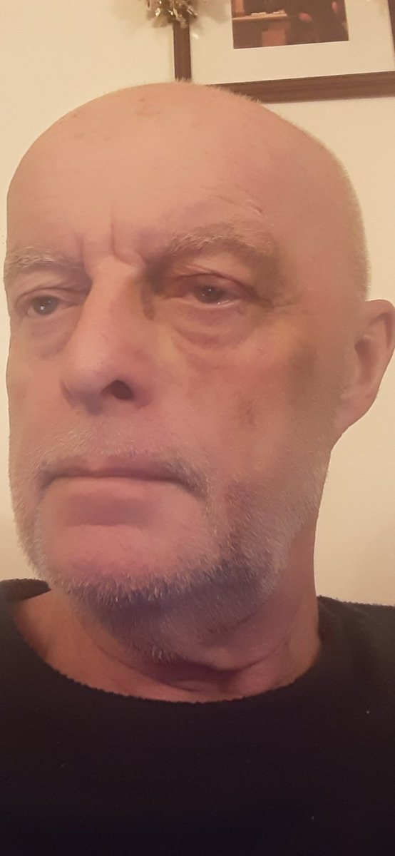 Alexander Bisset tweet media