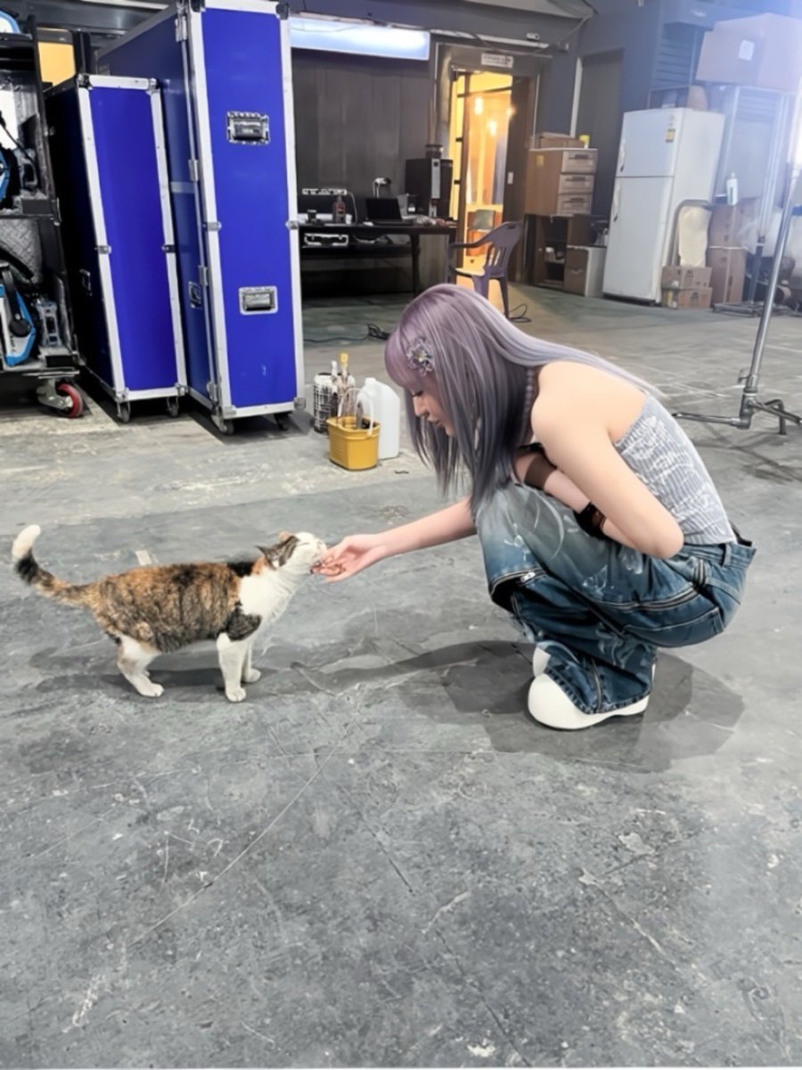 kjwnfilm's tweet photo. #LIZ - IVE Member Observation Report 2024 (4K Pictures) https://t.co/nFPU4QCQ1x