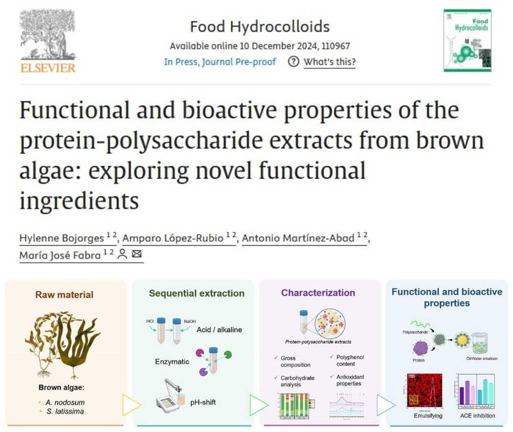 Packaging Group (@foodpackgroup) on Twitter photo 🧑🔬Check our research work on #protein & #polysaccharide extracts from #brownalgae as novel ingredients with #functional and #bioactive properties.
👉 doi.org/10.1016/j.food…
<a href="/circalgae_eu/">CIRCALGAE</a> <a href="/HorizonEU/">Horizon Europe 🇪🇺</a>
#UPRISING <a href="/AgEInves/">Agencia Estatal de Investigación</a>
<a href="/iata_csic/">IATA CSIC</a> <a href="/bhylenne/">Hylenne</a> 🧑🔬Check our research work on #protein & #polysaccharide extracts from #brownalgae as novel ingredients with #functional and #bioactive properties.
👉 doi.org/10.1016/j.food…
<a href="/circalgae_eu/">CIRCALGAE</a> <a href="/HorizonEU/">Horizon Europe 🇪🇺</a>
#UPRISING <a href="/AgEInves/">Agencia Estatal de Investigación</a>
<a href="/iata_csic/">IATA CSIC</a> <a href="/bhylenne/">Hylenne</a>