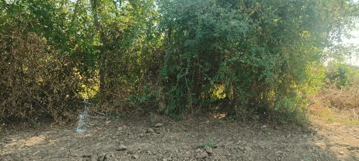 Joint field survey was conducted at village Sanoli and Rayantalavdi to match the juna survey number and paiki survey number with current occupier of the land to update DSO record and revenue record after promulgation. <a href="/CollectorVad/">Collector & DM Office Vadodara</a> <a href="/JayantiRavi/">Jayanti Ravi</a> <a href="/CMOGuj/">CMO Gujarat</a>