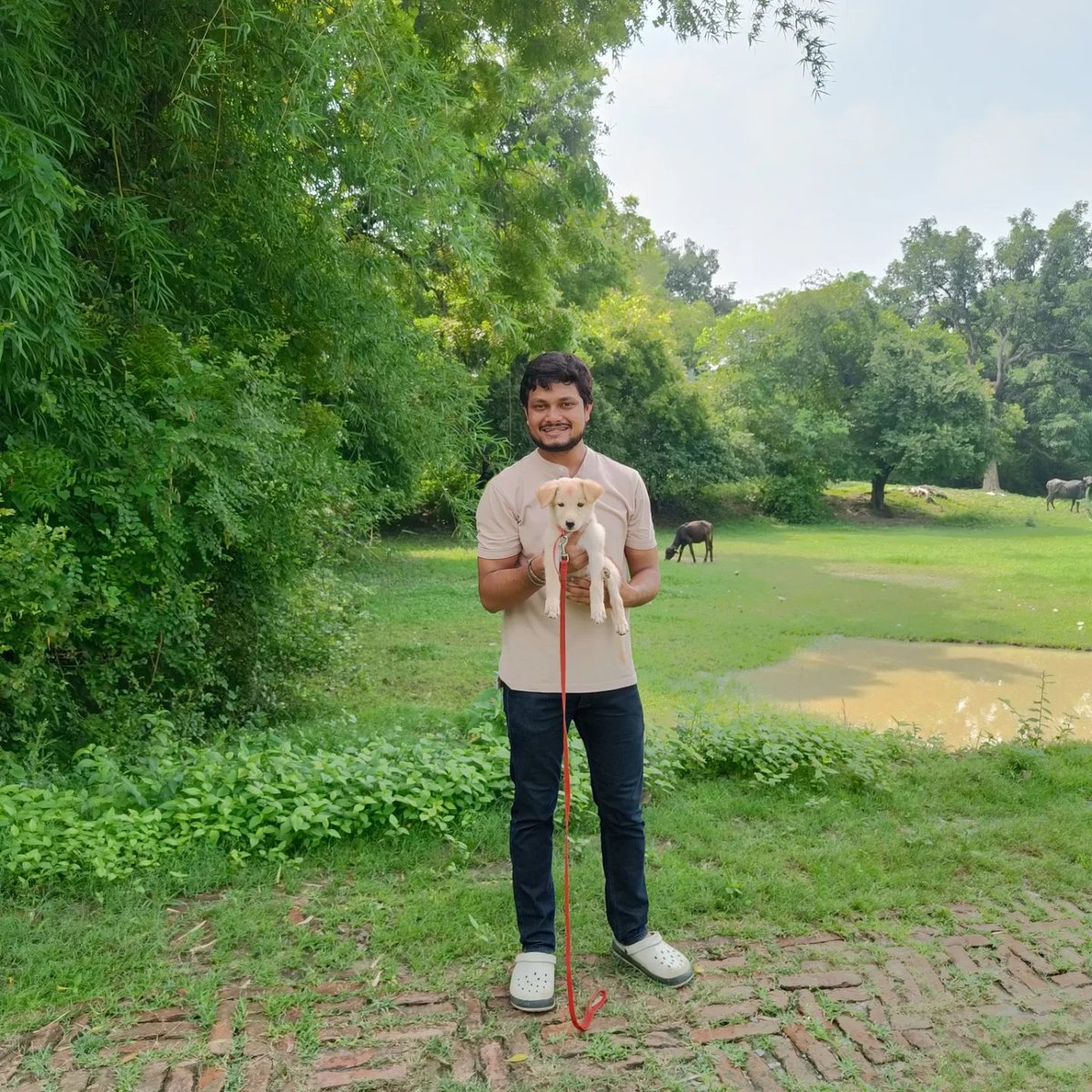 PrateekRajwada's tweet image. ❤️🎀
#kuwarSahab
#kuwarprateeksingh
#pets