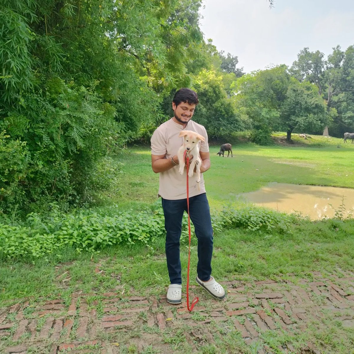 PrateekRajwada's tweet image. ❤️🎀
#kuwarSahab
#kuwarprateeksingh
#pets